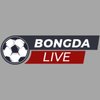 Avatar of livebongda