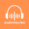 Avatar of audiohaynet
