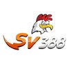 Avatar of sv388vntop