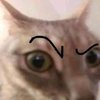 Avatar of kdivon
