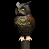 Avatar of Owl Creek Technologies