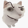 Avatar of knatact2409