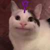 Avatar of ks.TinkyWinky