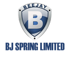 Avatar of BJ Spring Limited