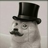 Avatar of xXDoge_MemeXx