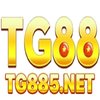 Avatar of TG88