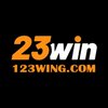 Avatar of 123wingcom