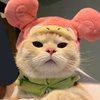 Avatar of Cashbroarmy22
