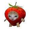 Avatar of Camixdd