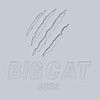 Avatar of bigcatcues
