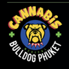 Avatar of Bulldog Phuket