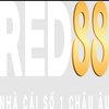 Avatar of RED88 - Nhà Cái Cá Độ Uy Tín Số 1