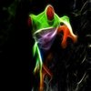 Avatar of Frog3907
