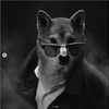 Avatar of Shady_Potato