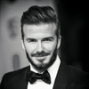 Avatar of websitepandas