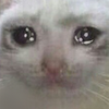 Avatar of roadtripred36