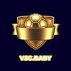 Avatar of VSC