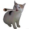 Avatar of TreborCD