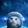 Avatar of Spacekat12