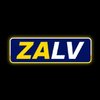 Avatar of ZALV digital