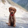 Avatar of jmstanley01