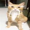 Avatar of owLAnm