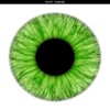 Avatar of Eyeball