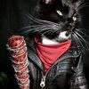 Avatar of vincentzdo