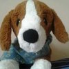 Avatar of sophiewongsp