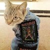 Avatar of subversive1