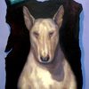 Avatar of Christophe Caro Alcalde