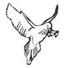 Avatar of Maxitaxx