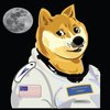 Avatar of Doge Space Fleet