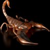 Avatar of chiasmodon