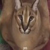 Avatar of JuanGames