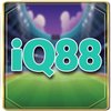 Avatar of iq88vet1