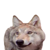 Avatar of AdmiralJosh