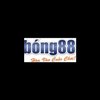 Avatar of xbong 88