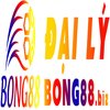 Avatar of Đại Lý Bong88