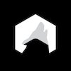 Avatar of VoxelWolves