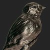 Avatar of Zendi_Code