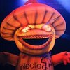 Avatar of danmetal2012