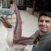 Avatar of paleoaeolos