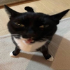 Avatar of godsoncdislost