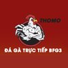Avatar of ĐÁ GÀ TRỰC TIẾP