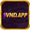 Avatar of 9vndapp