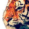 Avatar of JSYoon