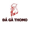 Avatar of Đá gà Thomo