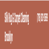 Avatar of Silk Rug and Carpet Cleaning Brooklyn