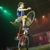 Avatar of timotei_tilleul